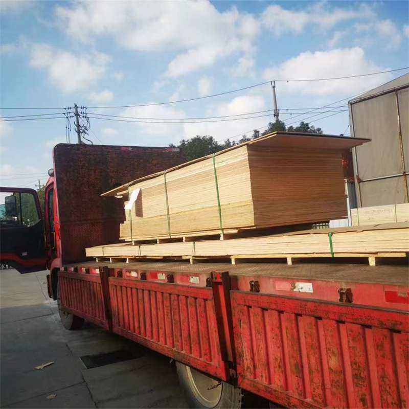辽宁大连瓦房店至塔城货运专线，一站式物流服务助您成功